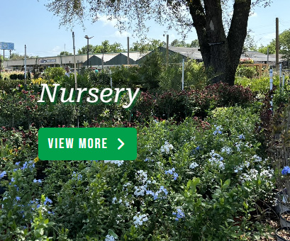 Plant Nursery Pensacola