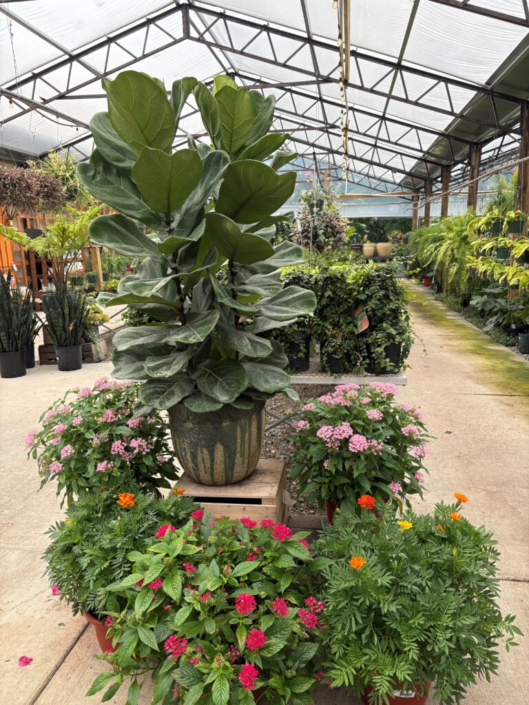 Green House in Pensacola