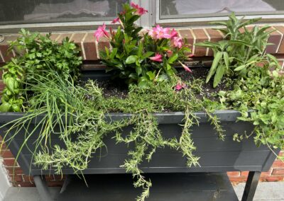Rectangular outdoor planter box with mixed greenery and flowering plants in Pensacola FL