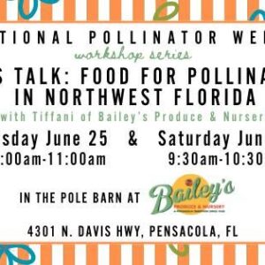 National Pollinator Week Let's Talk: Food For Pollinators In Northwest Florida