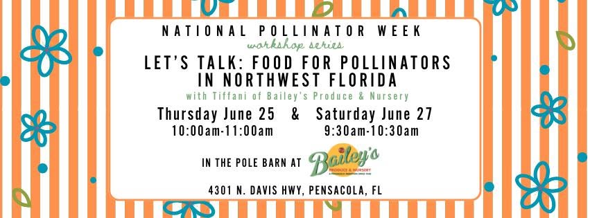 National Pollinator Week Let's Talk: Food For Pollinators In Northwest Florida